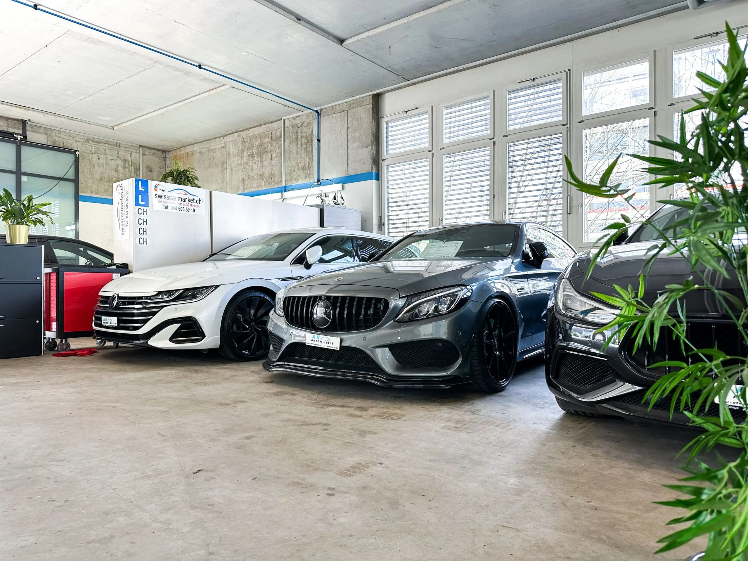 Ausstellung von hochwertigen Autos in einem Showroom mit großzügiger Fensterfront und Pflanzendekoration.